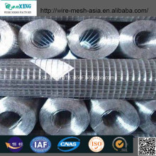 Welded Wire Mesh with Low Price